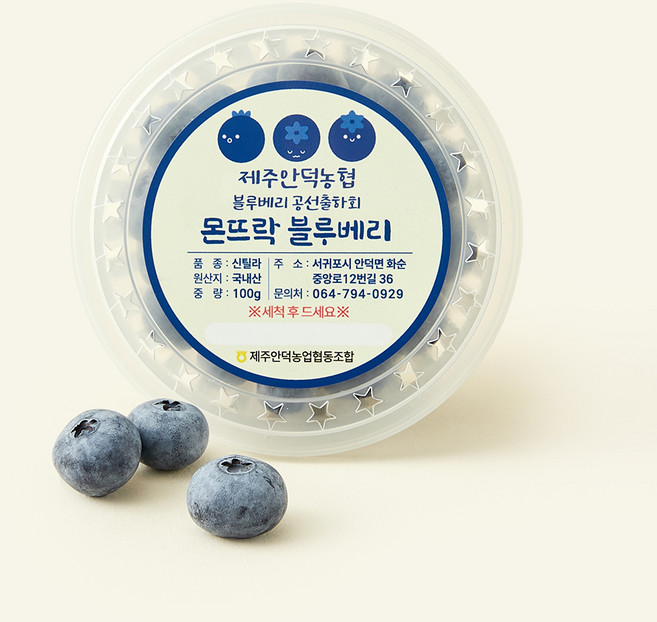 제주안덕농협 몬뜨락 왕블루베리, 100g, 1개