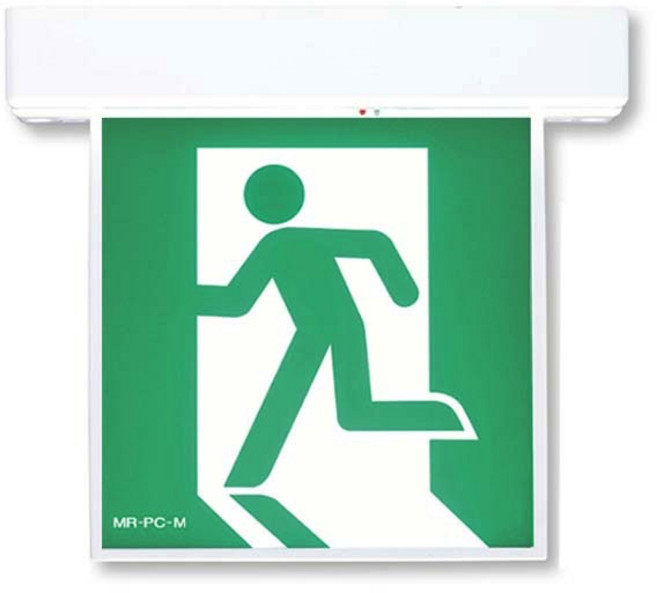 미래테크 천장형 피난구 양면 유도등, 1개, 그린