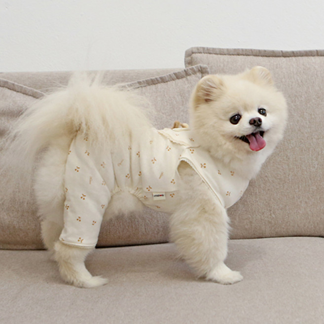 이츠독 강아지 오가닉 토리네 체리 올인원, 아이보리, 1개