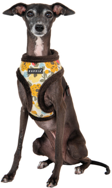 퍼피아 반려동물 리사 산책 하네스 A형 HA1976, 브라운, 1개