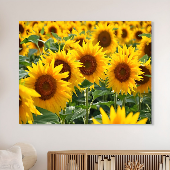 세잔느화실 캔버스액자 풍수액자 활짝핀해바라기들판, 옐로우