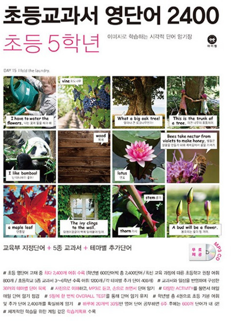 초등교과서 영단어 2400, 초등 5학년, 마더텅