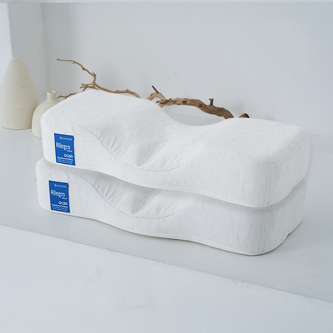 가누다 블루라벨 알레그로 경추베개, 화이트, 2개