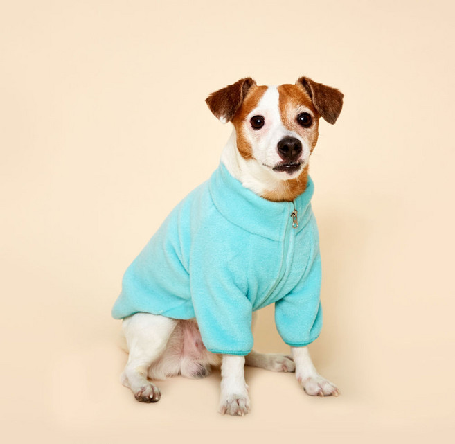 플로트 강아지 스탠다드 후리스 집업, 민트, 1개