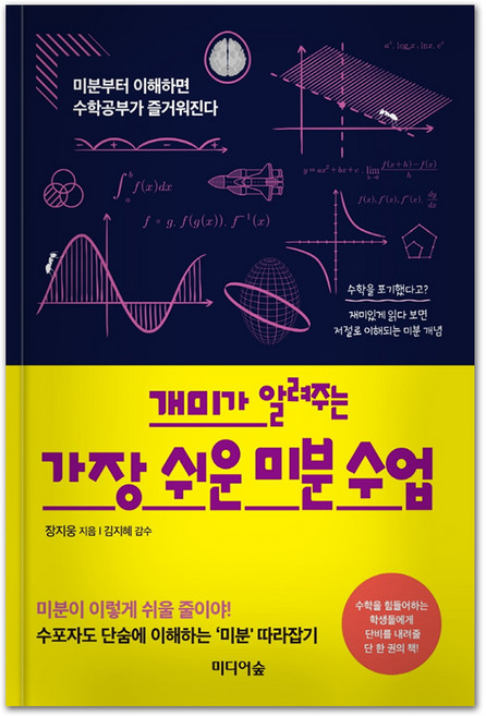개미가 알려주는 가장 쉬운 미분 수업:미분부터 이해하면 수학공부가 즐거워진다, 장지웅, 미디어숲