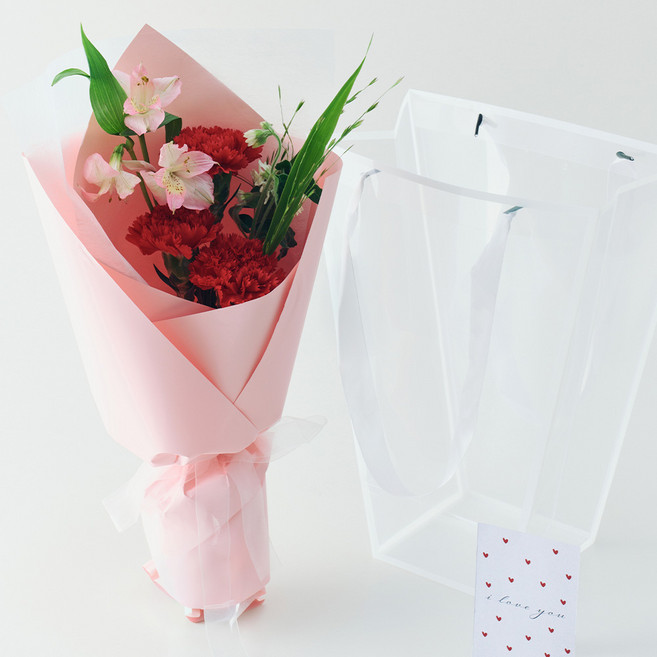 농업회사법인 주식회사 코코도르팜 생화 카네이션 레드 3송이 어버이날 스승의날 선물 꽃다발 + 메세지카드 세트 + 쇼핑백, 혼합색상