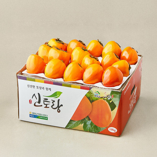 신토랑 다복 GAP 인증 후숙해서 먹는 영암 대봉감, 1개, 10kg(대과, 30~33입)