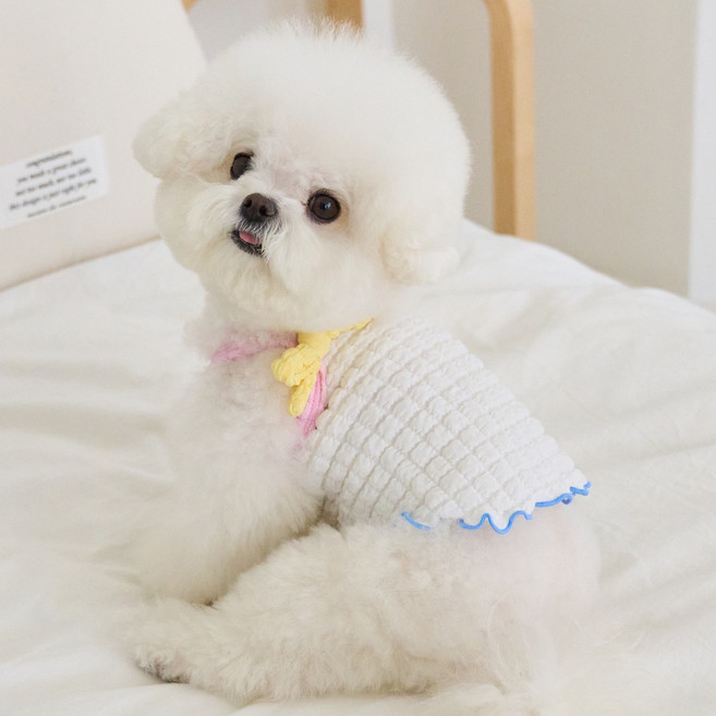 BENNYS 狗狗亮彩短版上衣