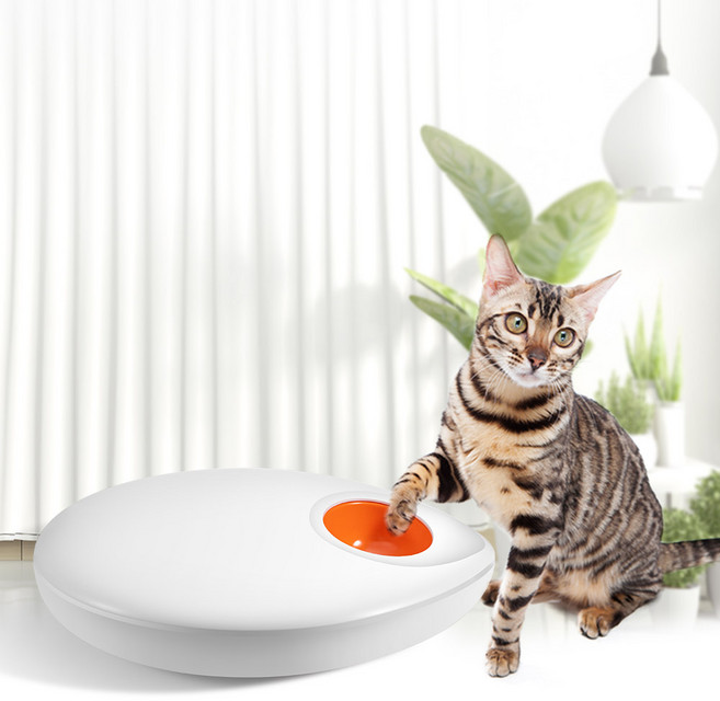 디클펫 반려동물 자동급식기 AT-400, 1.6kg, 화이트 + 오렌지, 1개