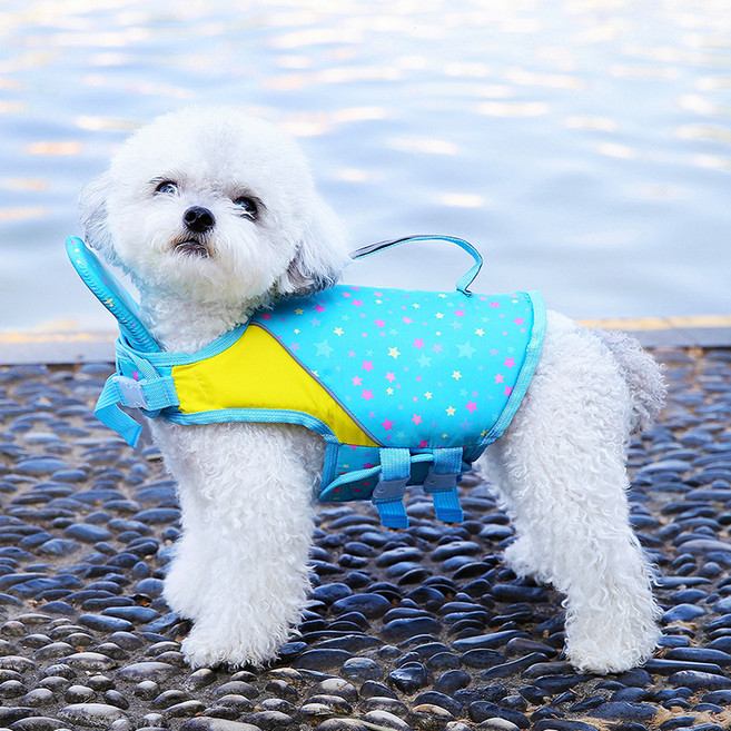 파스텔펫 반려동물 스타 핸들 구명조끼, 블루, 1개