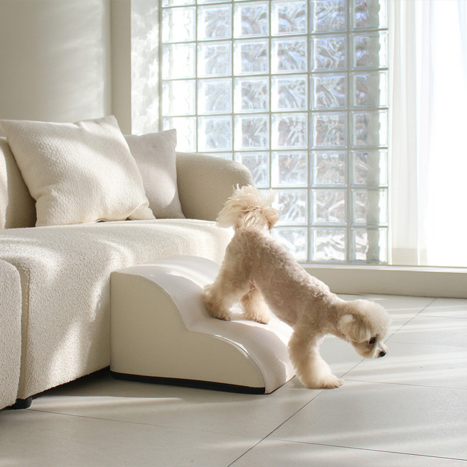 초코펫하우스 강아지 라운드 논슬립스텝 4.0, 1개, 아이보리