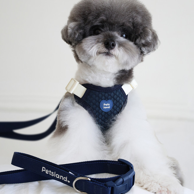 PETSLAND Air Breath 胸背帶 + 牽繩套組, 海軍藍, 1套