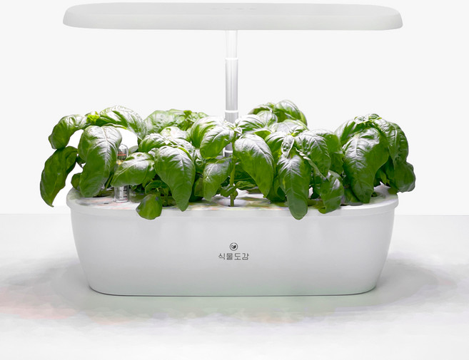 스피아노 식물도감 수경 가정용 스마트팜 식물재배기 SGS-37, 1개