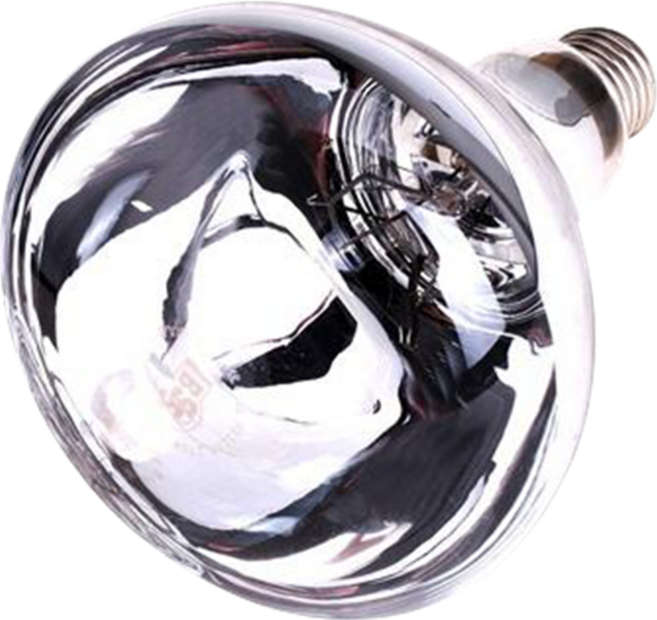 컴프라이프 욕실난방기 전용램프, 03 IR275 실버