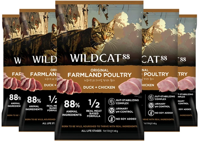 와일드캣88 고양이 오리지널 팜랜드 폴트리 샘플 건식사료, 40g, 5개, 닭+오리 - 쿠팡