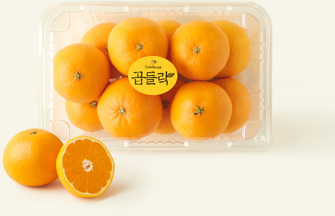 제주 남원농협 곱들락 진지향, 1개, 1.2kg