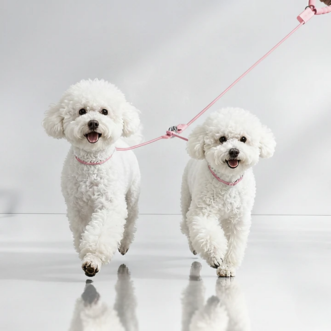 리치독스 반려동물 핸즈프리 올인원 트윈리드줄, 핑크, 1개