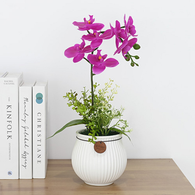 Garden in the City 蝴蝶蘭人造花飾品, 1個, 粉紅色