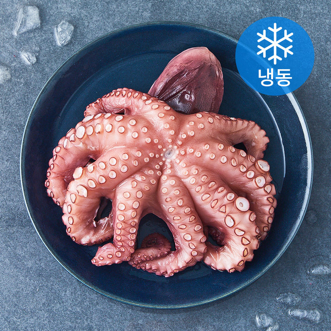 데친 문어 (냉동), 1개, 450g