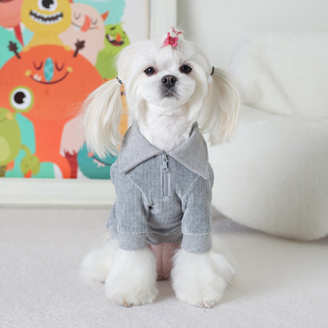 에이미러브즈펫 반려동물 DE 벨포아반집업, 그레이, 1개