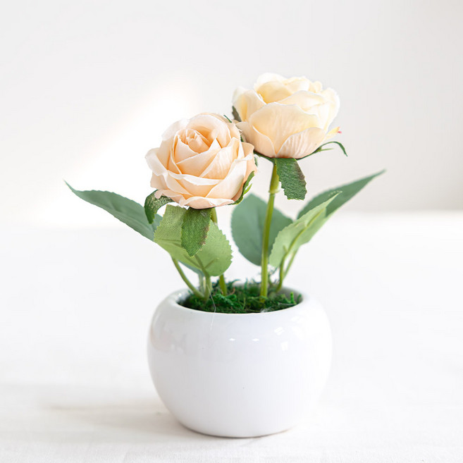 플라워트리 조화 클래식 데스크테리어 장미화분 12cm, 살몬, 1개