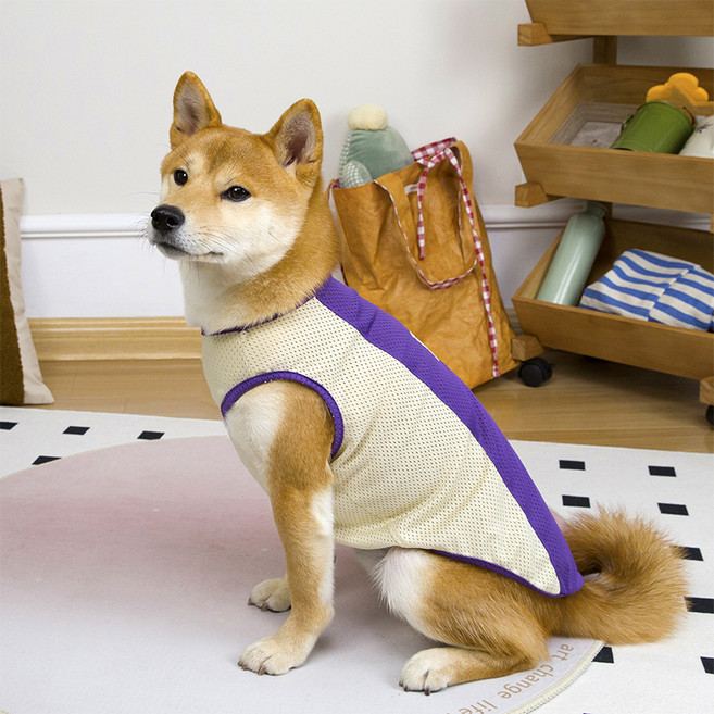 파스텔펫 강아지 중대형견 메쉬 민소매 나시티, 퍼플, 1개