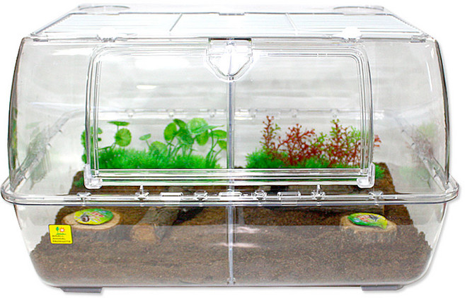 벅스존 프리미엄 곤충 기르기 세트, 혼합색상, 1세트