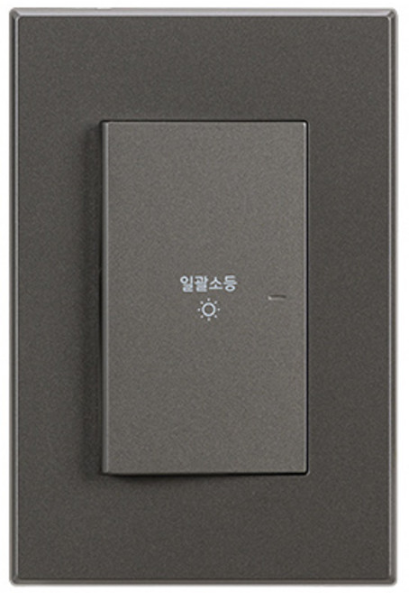 틸인스 일괄소등 1구 스위치 마그네슘, 1개