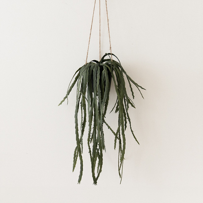 플라우스302 조화 립살리스루비 행잉 화분 65cm, 1개, 혼합색상