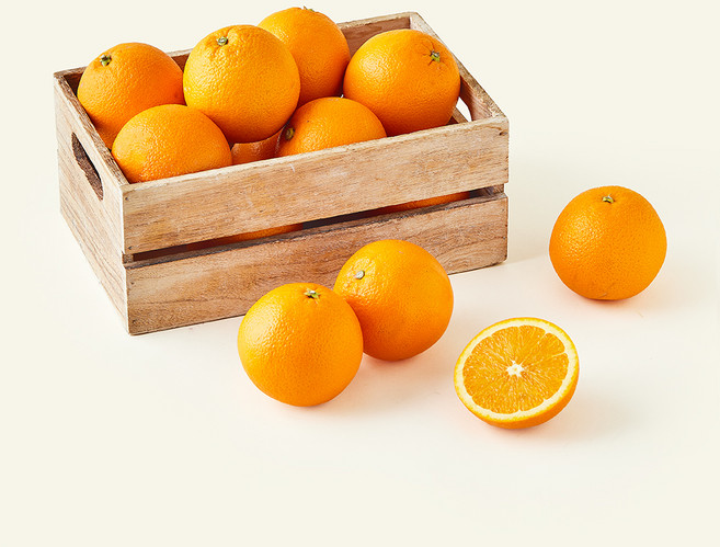 다조은 고당도 캘리포니아 오렌지 중대과, 4kg, 1개