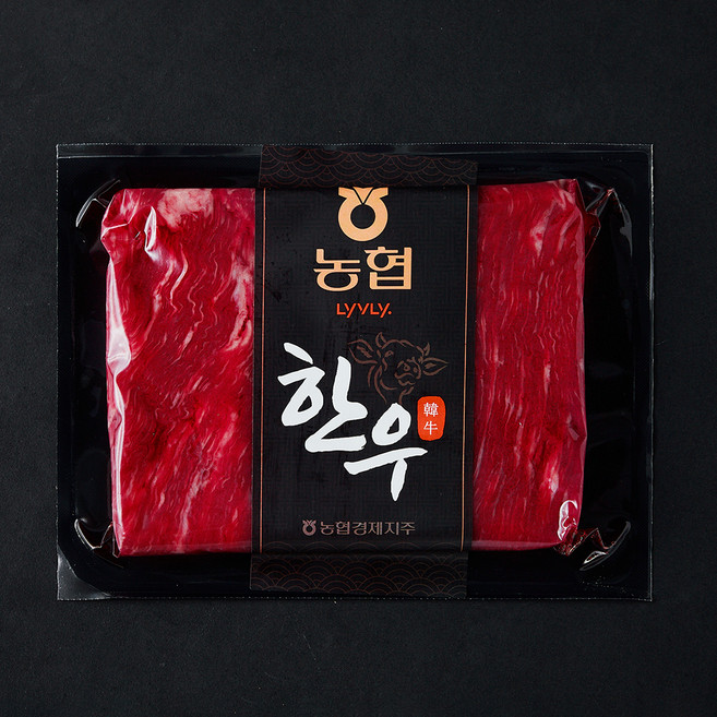 농협 한우 양지 미절단 1등급 국거리용 (냉장), 300g, 1개