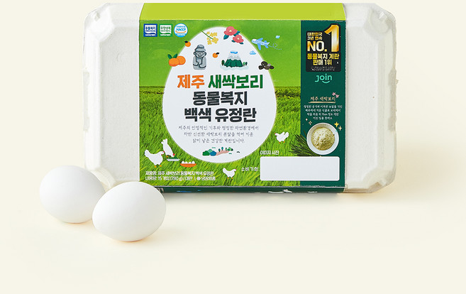 조인 동물복지 인증 제주 새싹보리 백색 유정란 780g, 1개, 15구