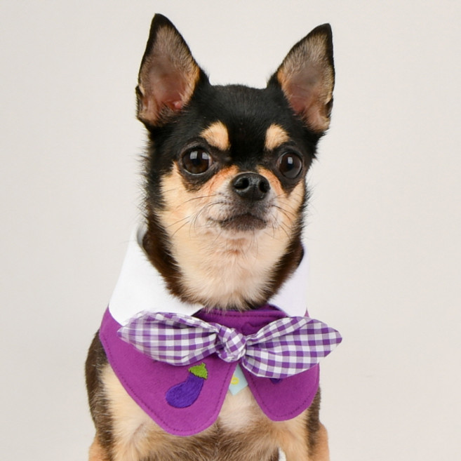 올치 반려동물 소형견용 귀여운 과일 자수 리본 턱받이 케이프, 퍼플, 1개