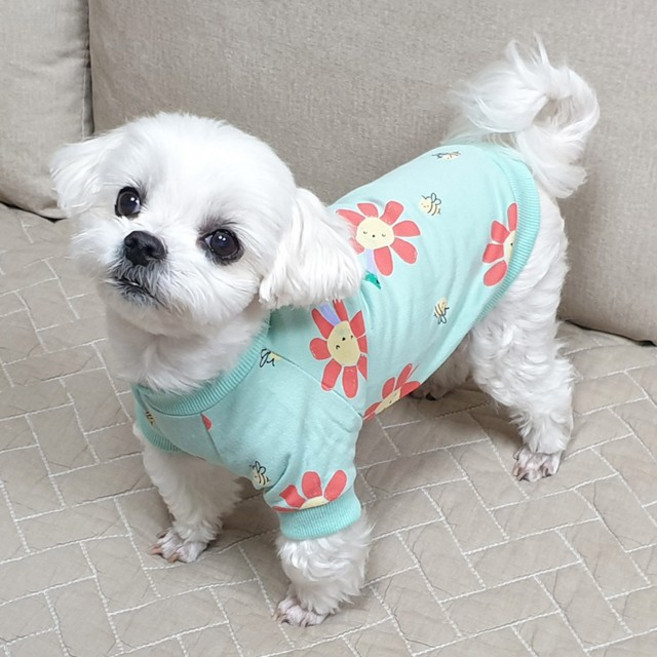 도기코디 해바라기 강아지 티셔츠, 민트, 1개