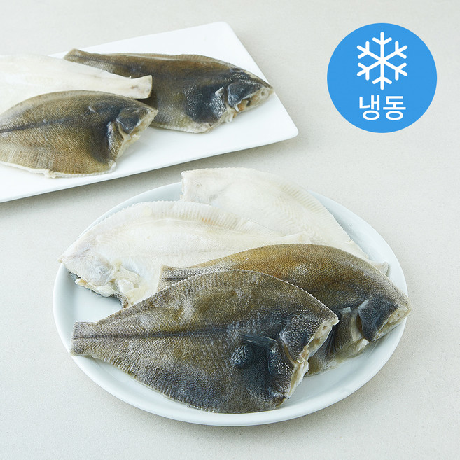 신선해어 손질 가자미 (냉동), 1개, 4.5kg(200~300g)