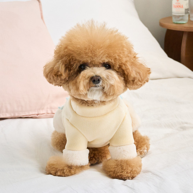 BENNYS 狗狗絲絨蝴蝶結連身裙, 黃色, 1個