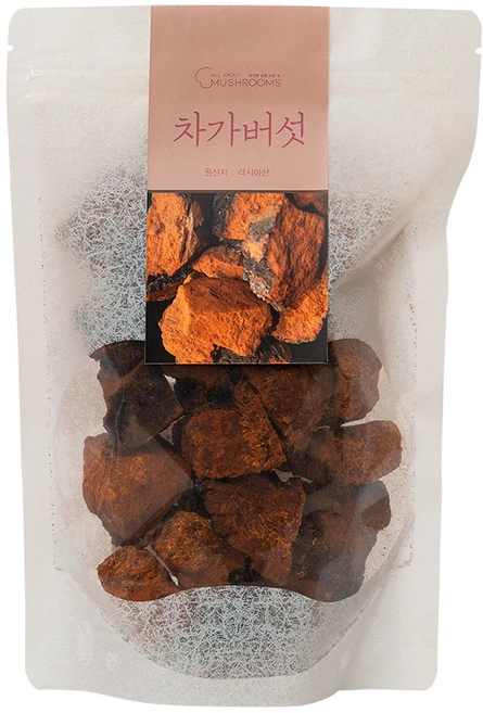 차가버섯, 120g, 1개 - 쿠팡