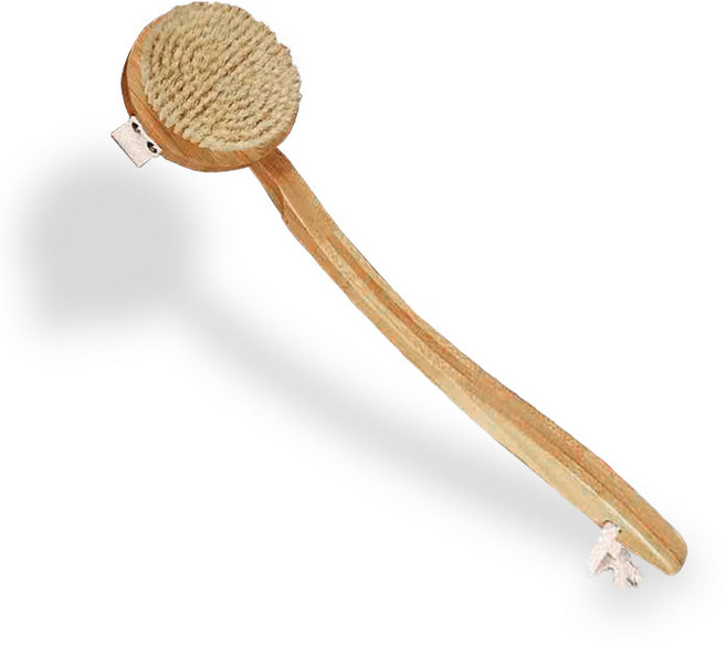 마켓플랜 멀티 돈모 바디 브러쉬, 혼합색상, 1개입, 1개