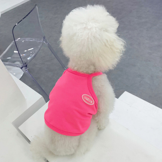 바크독 반려동물 쿨 크롭티, 형광핑크, 1개