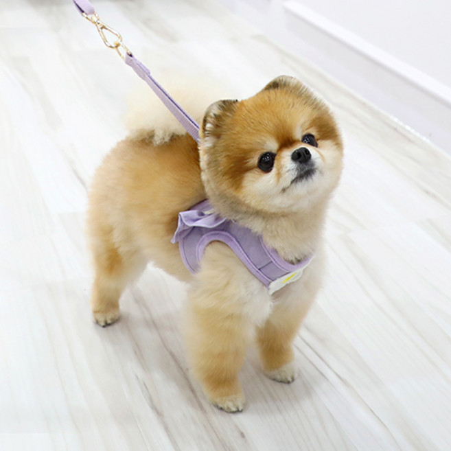 이츠독 데이지 프릴 하네스, 바이올렛, 1개