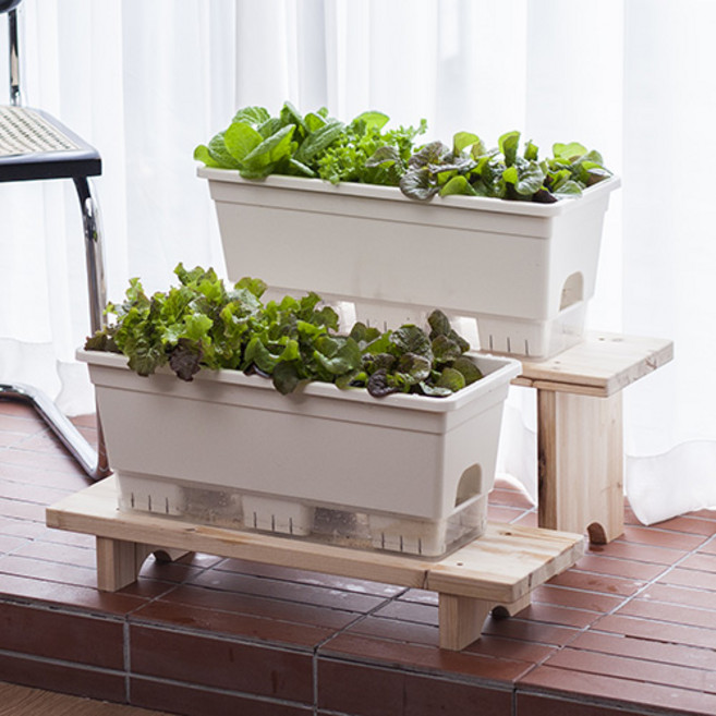 이즈리빙 내집에 텃밭 화분 15L, 아이보리, 2개