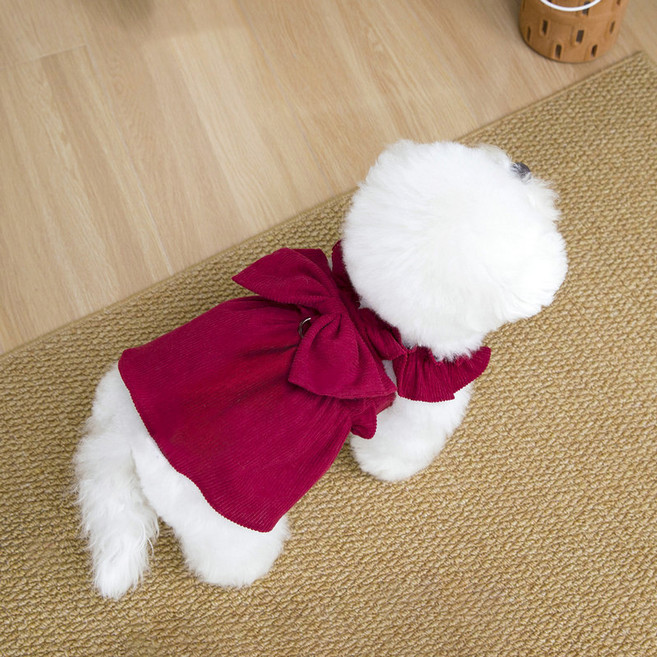 파스텔펫 반려동물 리본 프릴 골덴 원피스, 레드, 1개