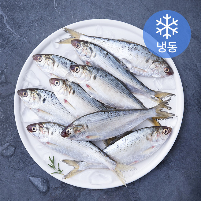 아라보감 갓 잡아 얼린 국내산 전어 (냉동), 500g, 1개