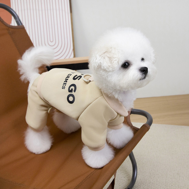 파스텔펫 반려동물 렛츠고 트레이닝 올인원, 베이지, 1개