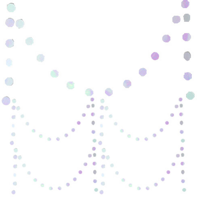 파티해 파티 원형 가랜드, 홀로그램, 5개