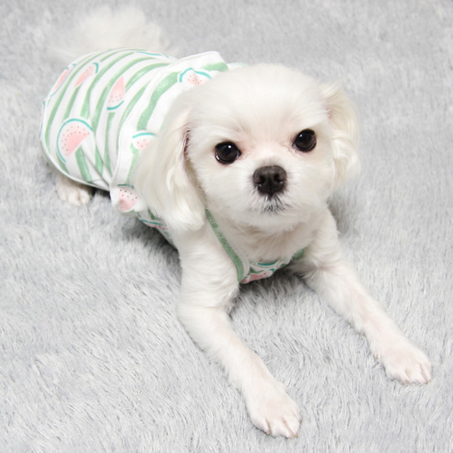 도기코디 강아지 수박 프릴 끈나시, 초록, 1개