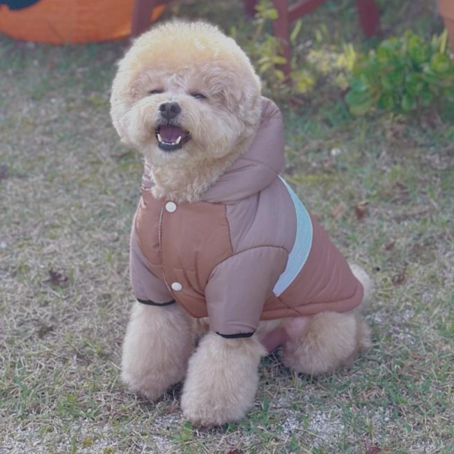 MAAH 강아지 멍끌레오 후드 패딩 하네스 올인원, 브라운, 1개