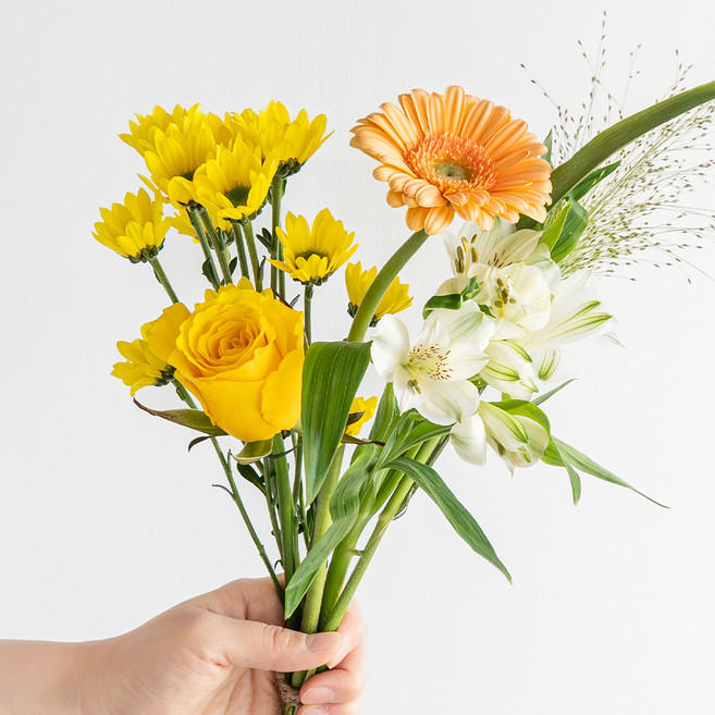 코코도르팜 생화 절화, 옐로우 믹스