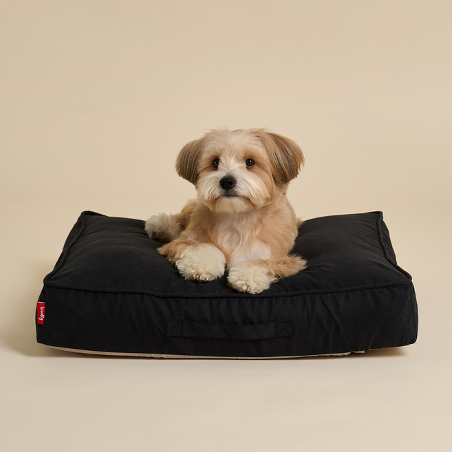 울리 반려동물 코지팟 방석, 블랙, 1개