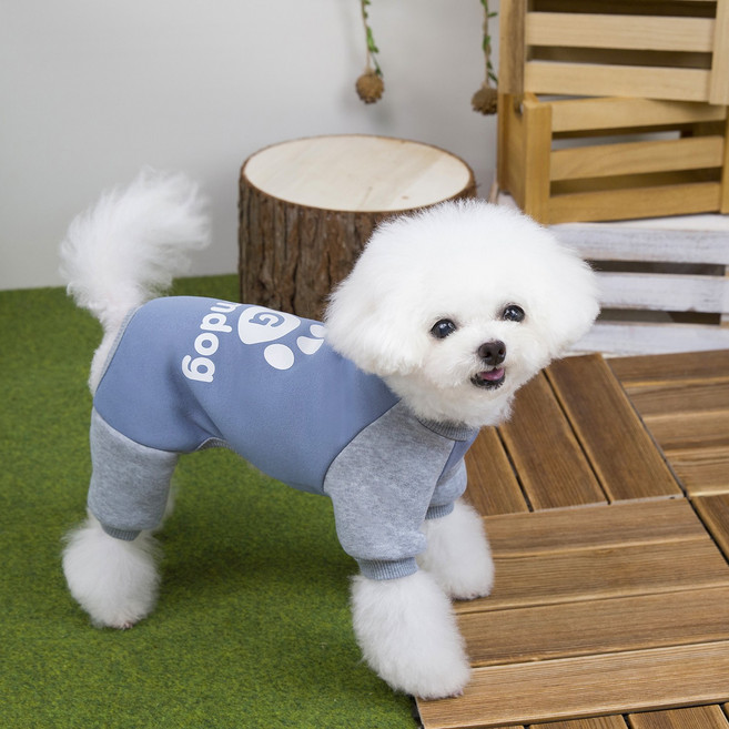 코코스튜디오 반려동물 기모 코코 하네스 글램독 트레이닝 올인원, 블루, 1개